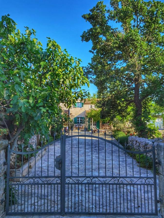 Villa Dvori Dida Mile 斯维蒂佩塔 外观 照片