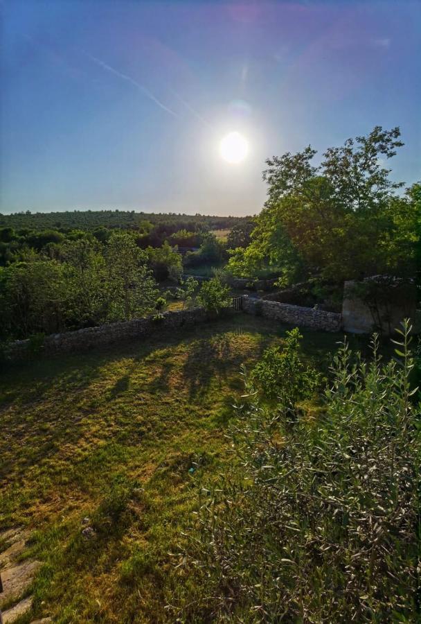 Villa Dvori Dida Mile 斯维蒂佩塔 外观 照片
